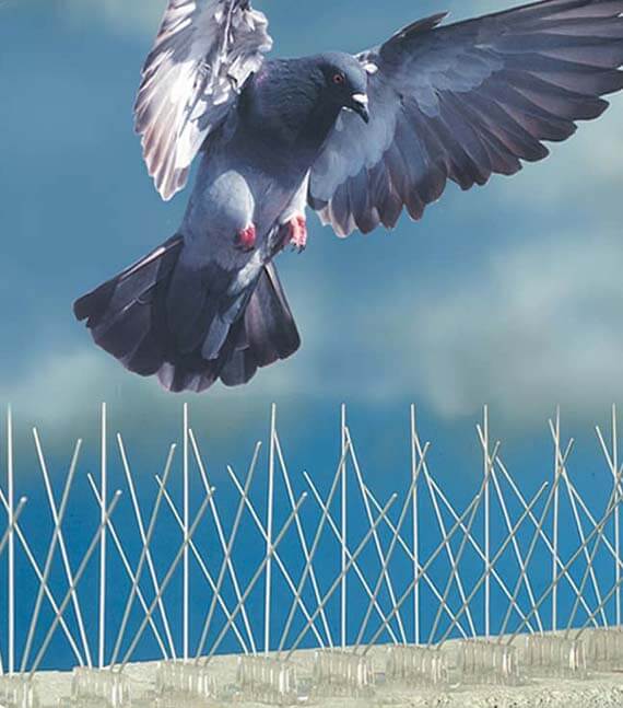 About Padmavathi Safety Nets Solution